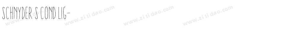 Schnyder S Cond Lig字体转换